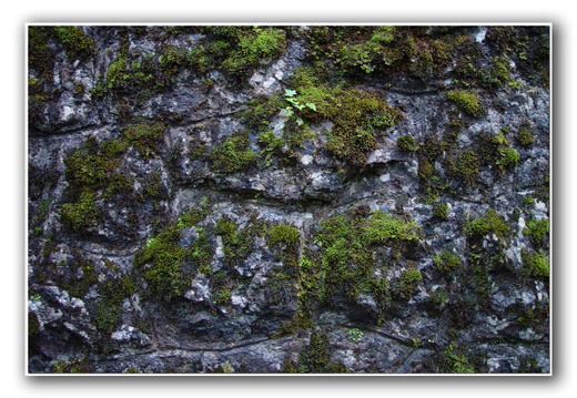 040725 Zwitserland 12