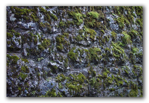 040725 Zwitserland 13