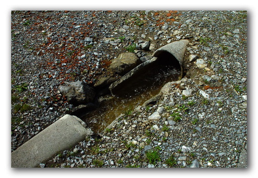 040725 Zwitserland 14