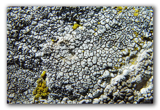 040725 Zwitserland 74