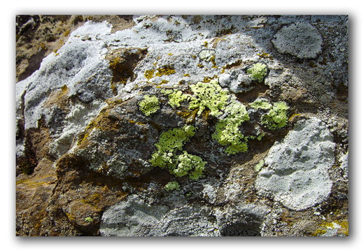 040725 Zwitserland 75