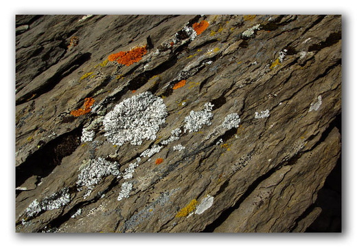 040725 Zwitserland 77