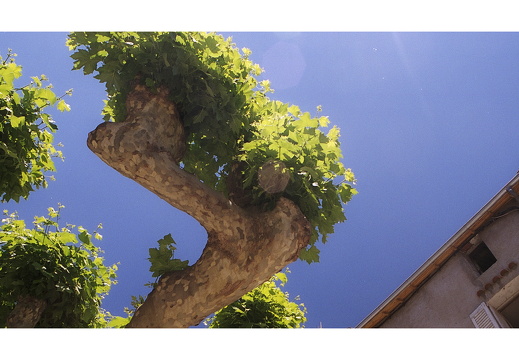 20040625-Riviera-1001