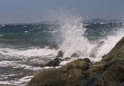 20040625-Riviera-3030