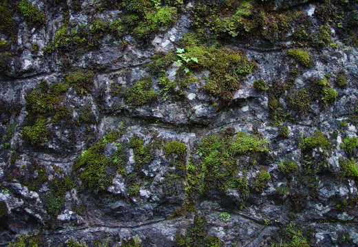 040725 Zwitserland 12