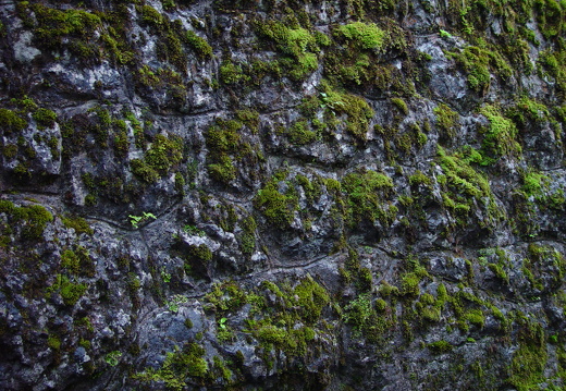 040725 Zwitserland 13