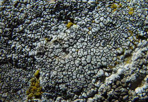 040725 Zwitserland 74