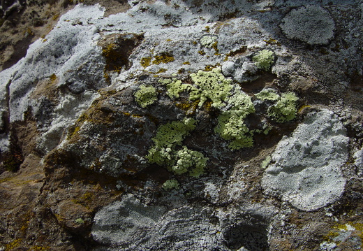 040725 Zwitserland 75