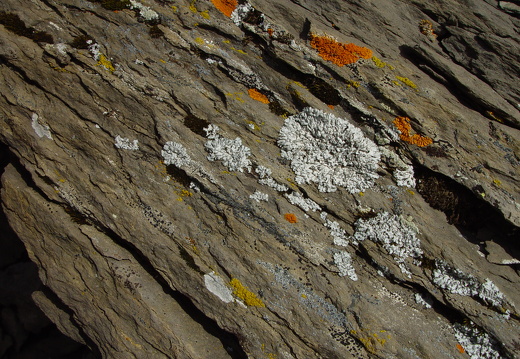 040725 Zwitserland 77