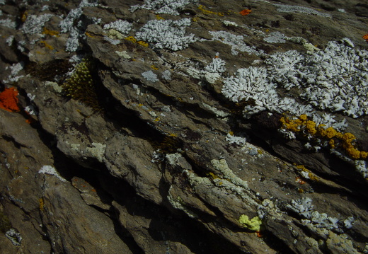 040725 Zwitserland 78