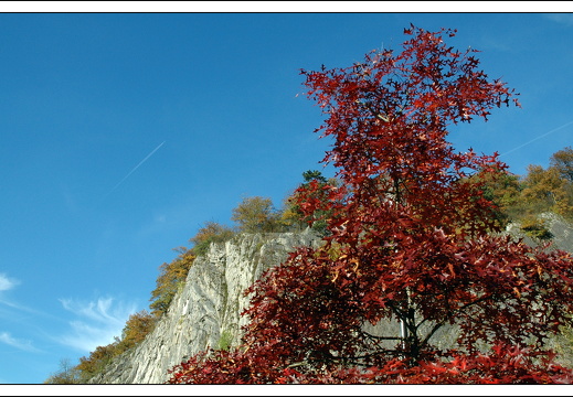 051028 ardennen 002