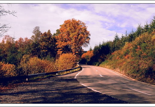 051028 ardennen 060