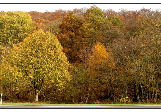 051028 ardennen 067