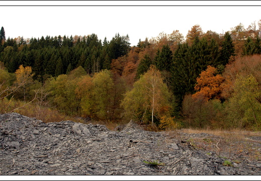051028 ardennen 085