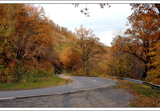 051028 ardennen 102