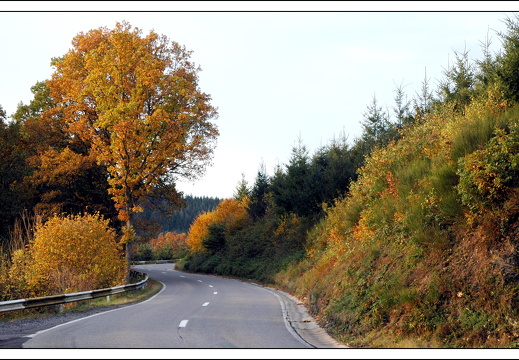 051028 ardennen 104