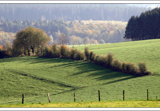 051028 ardennen 191