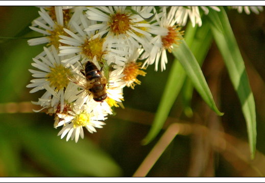 051028 ardennen 193