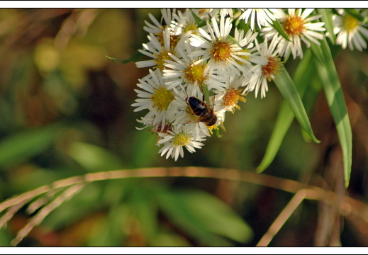 051028 ardennen 194