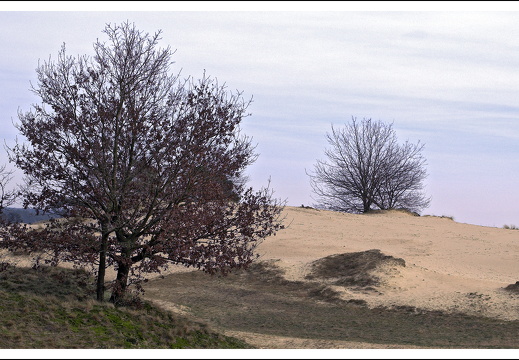 070217-kootwijkerzand-02