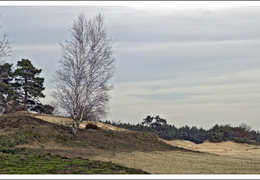 070217-kootwijkerzand-04