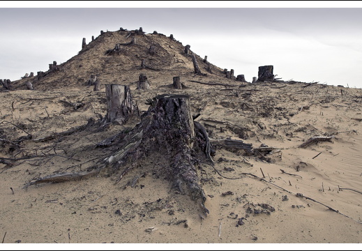 070217-kootwijkerzand-10