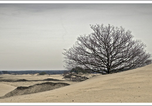 070217-kootwijkerzand-13