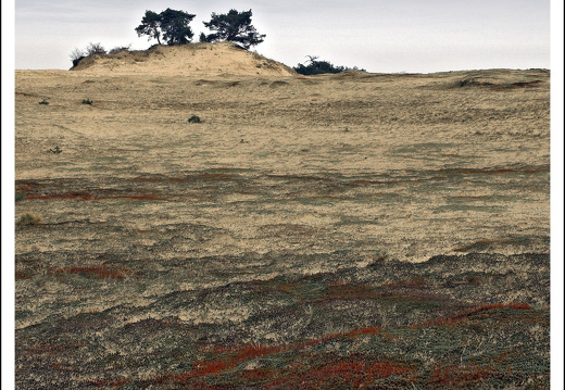 070217-kootwijkerzand-24