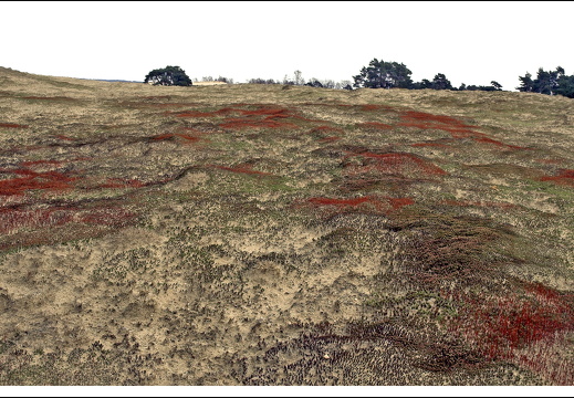 070217-kootwijkerzand-26