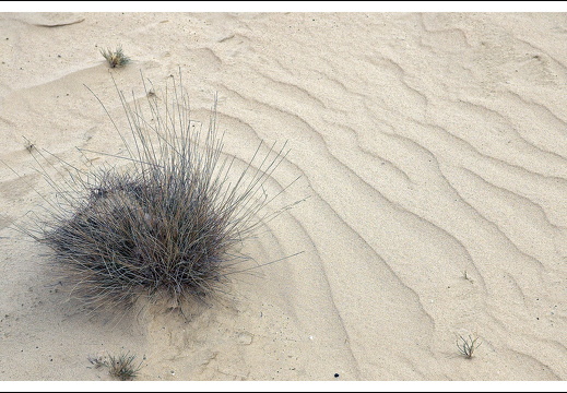 070217-kootwijkerzand-28