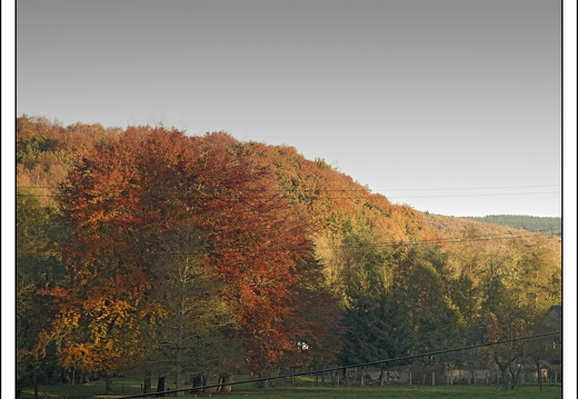 07100-Ardennen-22