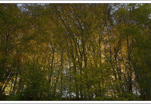 07100-Ardennen-23