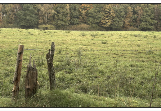 07100-Ardennen-33