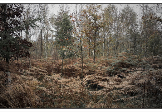 07100-Ardennen-40