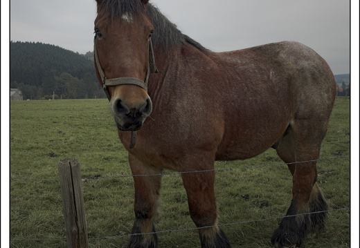 07100-Ardennen-50