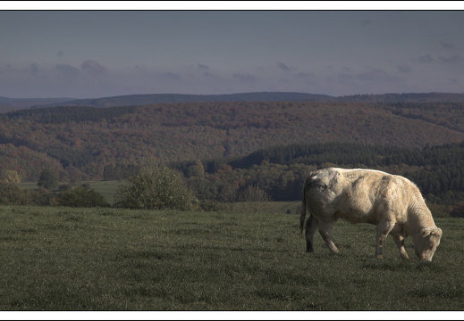 07100-Ardennen-60