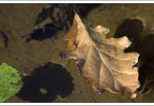 07100-Ardennen-71