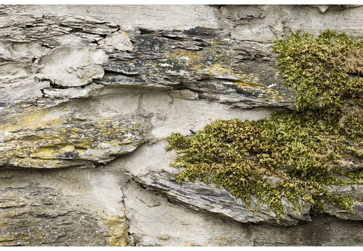 080614-vakantie-0020-JP