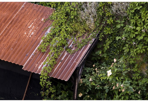 080614-vakantie-0040-JP