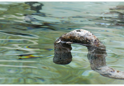 080615-vakantie-0080-JP