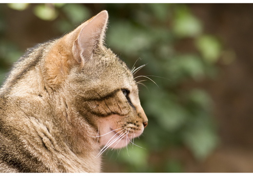 080615-vakantie-0130-JP