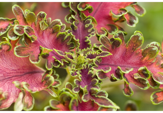 080615-vakantie-0160-JP