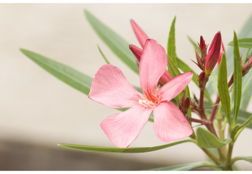 080615-vakantie-0210-JP