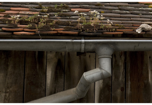 080615-vakantie-0230-JP