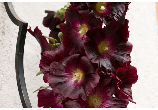 080615-vakantie-0330-JP