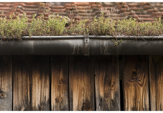 080615-vakantie-0350-JP