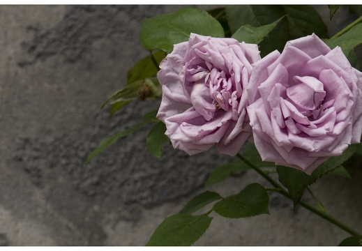 080615-vakantie-0360-JP