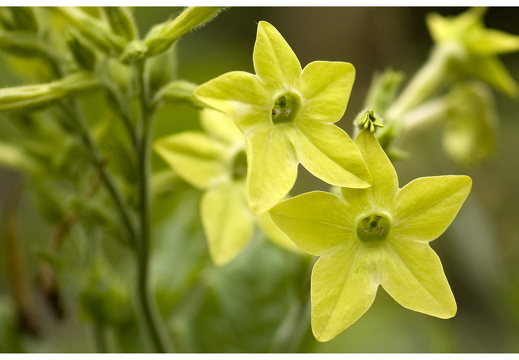 080615-vakantie-0450-JP