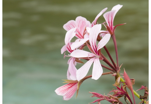 080615-vakantie-0460-JP