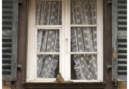 080615-vakantie-0480-JP